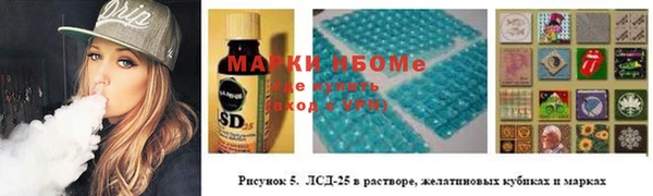 сатива Арсеньев