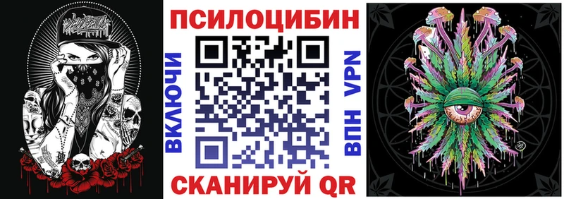Псилоцибиновые грибы Psilocybe  Ростов 